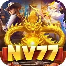 Nv77 — mitra unggulan